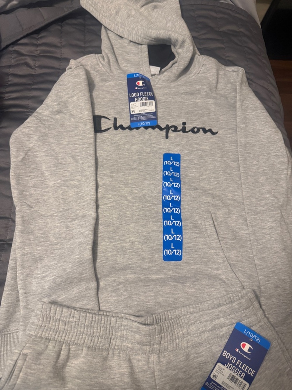 Champion Gray Kids' Logo Fleece Hoodie and pants 2 piece set size 10/12